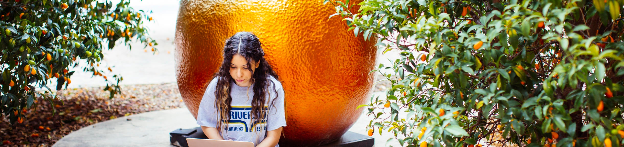 Woman working on a laptop in a grove of trees leaning against a statue of an orange.